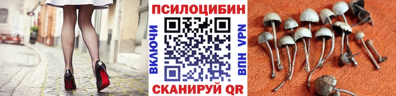 ссылка на мегу вход  Рубцовск  Псилоцибиновые грибы прущие грибы 