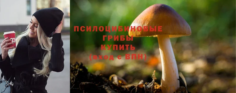 Галлюциногенные грибы Magic Shrooms  Рубцовск 