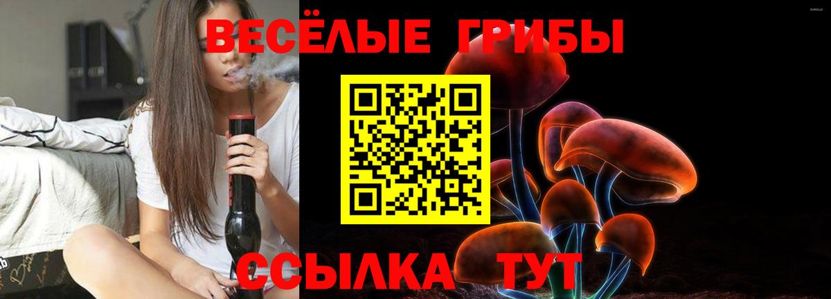 Рубцовск  Псилоцибиновые грибы Cubensis  Вход с VPN 